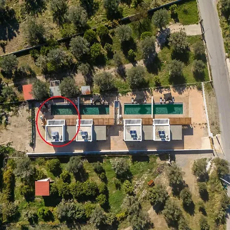 Celestia * Афанту